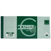 CAMBIALI DIDATTICHE FAC-SIMILE