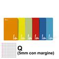 MAXI QUADERNO IN COLOR A4 Q 100 GR. 18+1FF 6 COL. ASS. 7