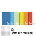 MAXI QUADERNO A4 IN COLOR 80 GR. 20+1FF RIG.Q 6 COLORI P