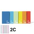 MAXI QUADERNO A4 IN COLOR 80 GR. 20+1FF RIG.2C 6 COLORI