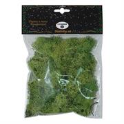 NATALE BUSTE LICHENE VERDE F56-100