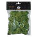 NATALE BUSTE LICHENE VERDE F56-100