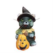 GATTINI C/ZUCCA CM.10