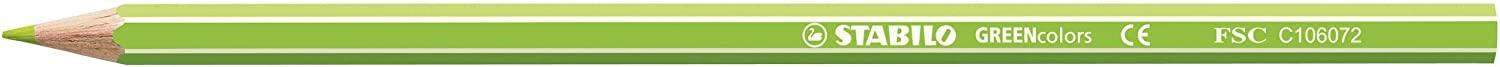 STABILO GREENCOLORS ARTY LINE 24 COLORI 6019/24-1-20