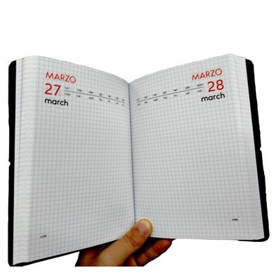 DIARIO/AGENDA 16 MESI NON DATATO N-FLEX D165-NFL-XX