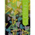 DIARIO 16 MESI NON DATATO GLOWING D160-GWL-XX