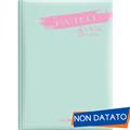 DIARIO 9 MESI NON DATATO PASTELLO - D109-PAS-XX