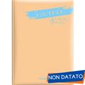 DIARIO 9 MESI NON DATATO PASTELLO - D109-PAS-XX