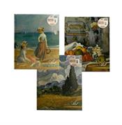 ALBUM 30 FOGLI CARTONCINO ARTE 24X31 80844