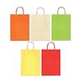 BUSTE REX ALLEGRA TINTA UNITA LIGHT 26+12X36 SDF26LIT