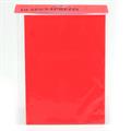 SEGNAPREZZI FLUO 70281 PZ.10