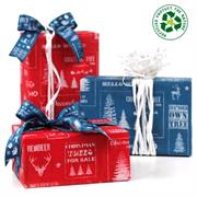 CARTA REGALO REX NATALE FF100 FANTASIA DI NATALE EC40002