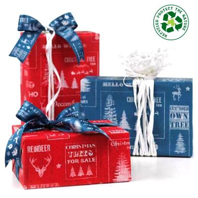 CARTA REGALO REX NATALE FF100 FANTASIA DI NATALE EC40002