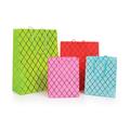 BUSTE E.D. ASS 210G 30X40X12CM  53NIK015/3