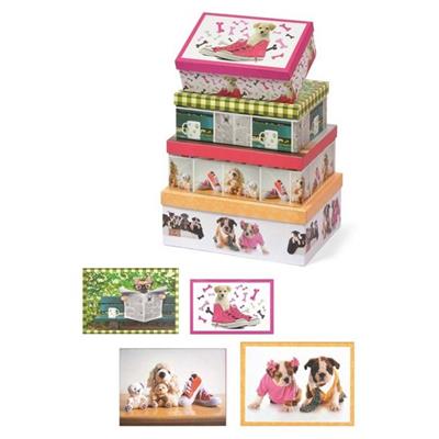 SET SCATOLE PZ.4 DOGGY 61331