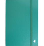 RACCOGLITORI C/ELASTICO D.6 VERDE 8129.VE
