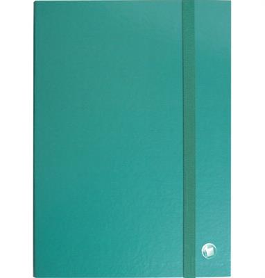 RACCOGLITORI C/ELASTICO D.6 VERDE 8129.VE