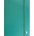 RACCOGLITORI C/ELASTICO D.6 VERDE 8129.VE