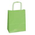 BUSTE 18X8X24 VERDE MELA 072093