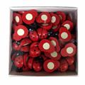 COCCINELLE LEGNO C/ADESIVO PZ.72 400/018