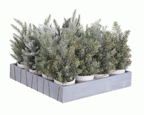 MINI ALBERI INNEVATI C/VASO ASSORTITI CM.25