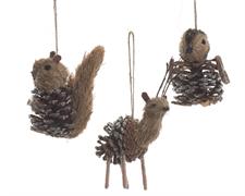 ANIMALI NATURALI