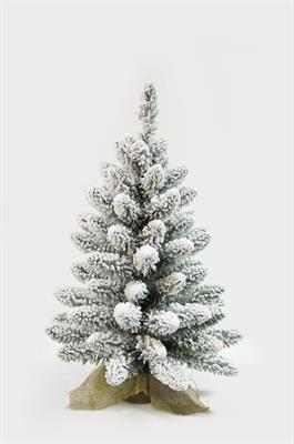 ALBERELLO INNEVATO CM.45 TIPS 63