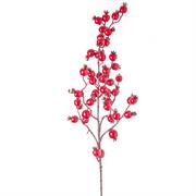 TRALCIO BACCHE ROSSE
