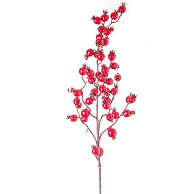 TRALCIO BACCHE ROSSE