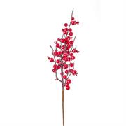 TRALCIO BACCHE CM.38 ROSSE N14130RED