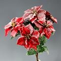 BUSH POINSETTIA FROSTED X 5 ROSSO