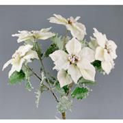 BUSH POINSETTIA FROSTED X 5 BIANCO