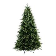 ALBERO DOUGLAS CM.180 TIPS 2556 DIAMETRO CM.116  N34232