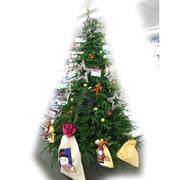 ALBERO STANFORD CM.240 TIPS 2223   182CM N22736