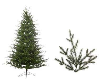 ALBERO STANFORD CM.270 TIPS 2951   203CM N22737