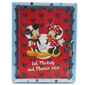 DIARIO SEGRETO 80 PAGINE MICKEY&MINNIE, CM.  13X18, 4 SO