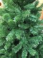 PINO IMPERIALE ALBERO NATALE 210CM 770 RAMI 680313