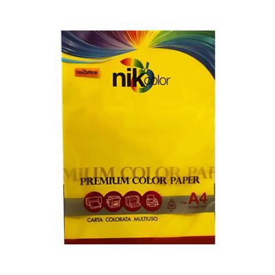 CARTA COLORATA A4 100GF80GR GIALLO FORT 23NIK089