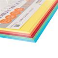 CARTA COLORATA A4 125 FG 160G ASS FORTE 23NIK095/160