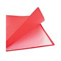 P/LISTINO COLORI ASS.FOGLI 30 01NIK386/30ASS