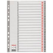DIVISORI NUMERICI 1-31 ESSELTE