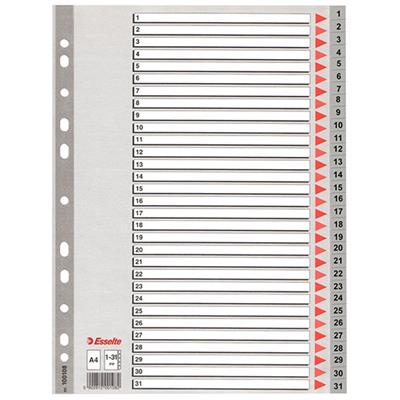 DIVISORI NUMERICI 1-31 ESSELTE