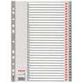 DIVISORI NUMERICI 1-31 ESSELTE