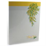 CARTELLE CON MACCHINETTA YELLOW LINE