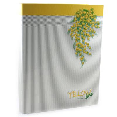 CARTELLE CON MACCHINETTA YELLOW LINE
