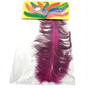 CARNEVALE PIUME 8203