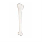 TIBIA GIGANTE 2322