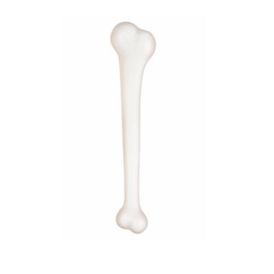 TIBIA GIGANTE 2322