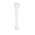 TIBIA GIGANTE 2322
