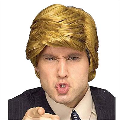 CARNEVALE PARRUCCA DONALD TRUMP